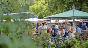 Wein von 60 Winzern probieren