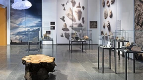 Museum Wiesbaden: Fossilien sind Klimagedächtnis