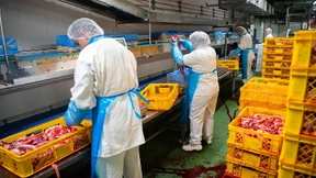 Heil: Werkverträge sind eine Wurzel des Übels