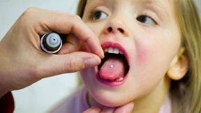 Die Globulisierung und ihre Gegner