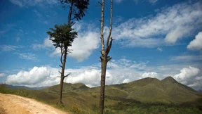 Gar nichts ist sicher! 