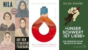 Diese sieben Bücher helfen, die Lage in Iran zu verstehen