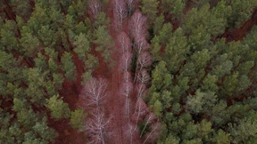 Polnische Polizei findet Leiche eines jungen Syrers