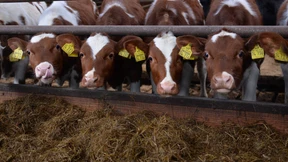 Bauern sehen Handel in der Pflicht – und sich selbst