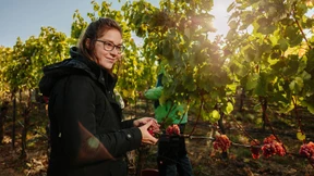 Freak-Wein aus dem Familienbetrieb