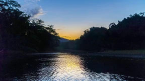 Schön, nicht allein zu sein