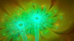 Magic Mushrooms gegen die Depression?