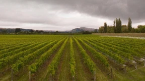 Eleganz vom Ende der Welt