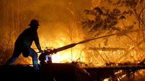 Waldbrände vertreiben Touristen und Einwohner