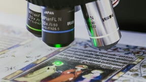 Auch für Gemälde gilt die Unschuldsvermutung