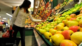 Alles muss vercheckt sein