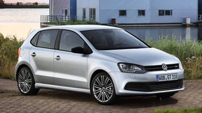 Kracherl mit Kampfgeist