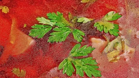 „Keiner weiß mehr, ob er dieses Weihnachten noch überleben wird“