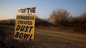 Dürre in Kalifornien - und Grenzen der Vorstellungskraft