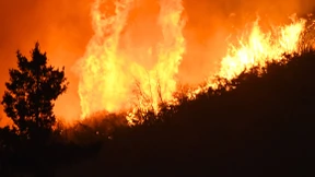 Die größten Waldbrände der vergangenen 30 Jahre