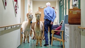 Wie senke ich das Pflegekostenrisiko?