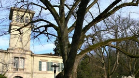 Herberge  des Hochadels