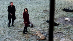 Der Wolf im Arzt-Pelz