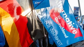 „Auch bei den Grünen habe ich Strohpuppen brennen sehen“