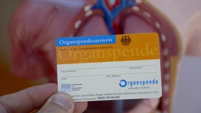 Wieder mehr Organspenden in Hessen