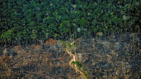 Nutzen wir Natur, nutzen wir fremdes Eigentum