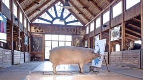 Eine Nacht im Schweinehimmel