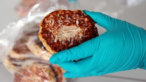 Ganz normale Ackergäule