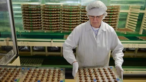 Stollwerck verlässt Köln