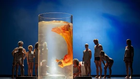 Ausrasten ist eine sinnliche Erfahrung