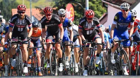 Hoffen auf eine neue Blüte