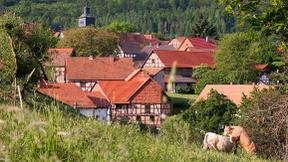 Warum Städter in der Krise aufs Land flüchten