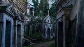 Wie der Klimawandel einen besonderen Friedhof gefährdet