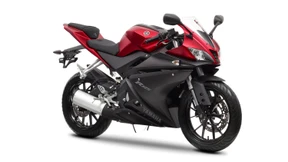 Die Geschwister-Kräder