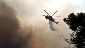 Griechen kämpfen gegen  Waldbrände