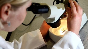 Ist Alzheimer übertragbar?