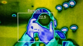 Den Drachen im Nacken