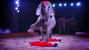 Premiere mit Protestaktion  