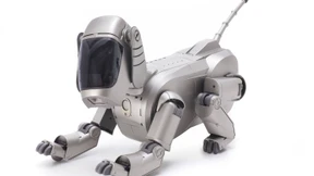 Vom Haustier belauscht