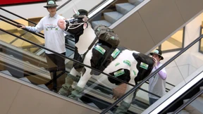 Zu Hause kritisiert, im Ausland serviert