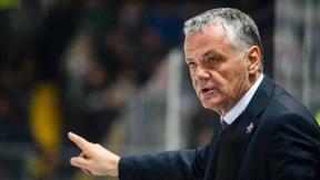 Eisbären trennen sich vom Dompteur