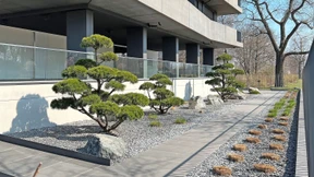 Raus aus den Gärten des Grauens