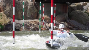 Stress im Stangenwald