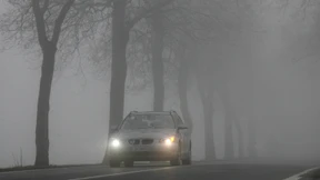 Versicherung muss trotz Fahrerflucht zahlen