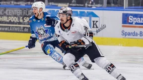 Löwen in Quarantäne