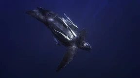 Kalt erwischt in der Biskaya