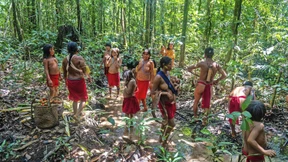 Wovon die Weißen träumen