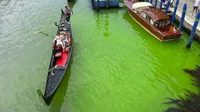 Canal Grande in Venedig leuchtet grün