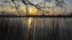 Computerspiel für Aussteiger