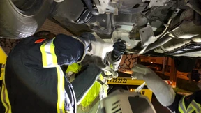 Unter einem Auto eingeklemmte Katze befreit