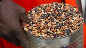 Welthungerhilfe fordert bessere Krisenprävention